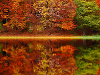 감성 가을 이미지 (25)