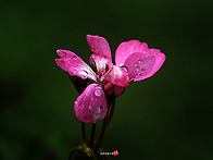 등업 신청 하면서...흔한것..