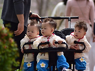 세쌍동이