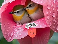 행복한 아침입니다