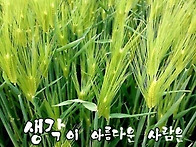 날 많이 사랑하고 있구나