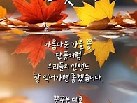 아름다운 가을 꽃..