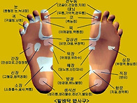 ◈ 다리가 바빠야 오래 산다 ◈
