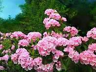 침묵을 배우기 위해서는 ..