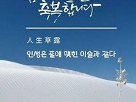 ♤두릅의 효능♧