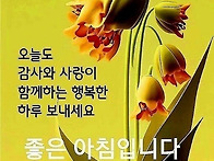 ♤두릅의 효능♧