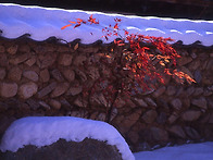 하얀 눈속에 아름..