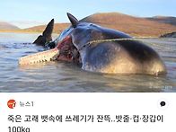 🛑후쿠시마 핵..