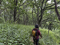 25구간 죽령 연화봉 비로봉..