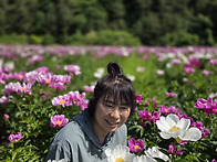 봄날의 화려한 태백산~~~..