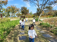 숲체험 및 산책-창포원