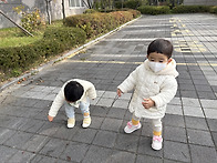 10월 5주 병아리반 놀이