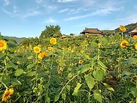 부처 바라보기