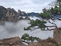 설악...별길.화채..