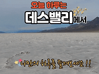 데스밸리 당일투어