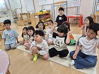 2025.05.29 은..