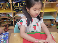 수박부채 &#127817;