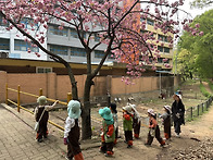 삼월삼짇날