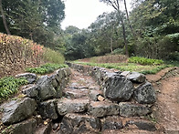 봉제산의 변화~