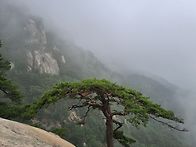용화산