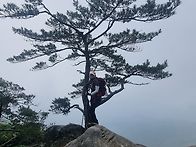 용화산 배후령