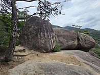 제천 작은동산