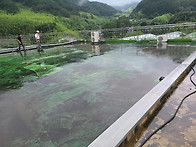 하동 지라산 청학동 묵계초..
