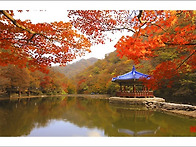 하루에 하나씩 함 해봐요~..