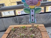 서준이 예준이 래디쉬♡