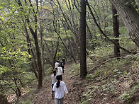 체험학교, 입학설명회 잘 ..