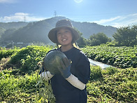 [가는 더위 처서] 늦더위 ..