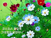 불렁뮤직 카페 206회정모