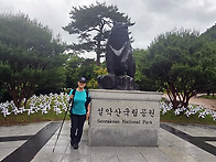 솜다리의 추억