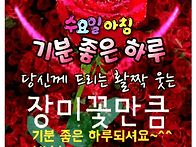 11월 27일 수요일 출석부