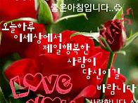 5월 28일 수요일 출석부
