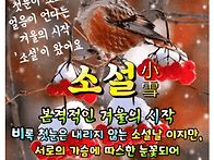 11월 22일 금요일 출석부