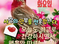 5월 20일 화요일 출석부