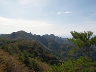 비우남매(환종주)**