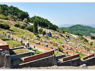 묘지이장비용 조성 국가공인에게 전문가에게