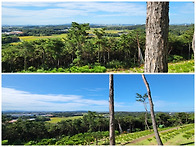 화성수목장 특장점