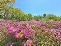 4/14(수) 동산 장..