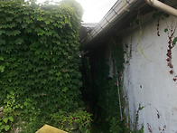 박윤산-사진 동아..