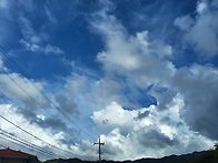 구예준- 사진 동아..