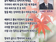 27호 시작품