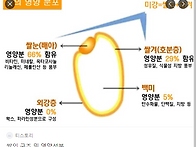 쌀 눈이 없는 백미는 영양..