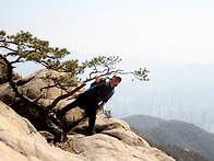 시산제