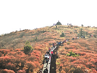 지리산 피아골 - 노고단 ..