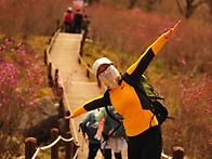 40차 정기산행- 비슬산-진..