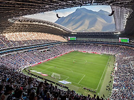 남아공전 경기장 볼 수 있..