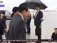 알파메일 윤카 레..